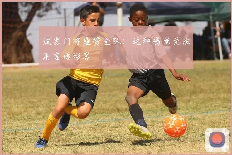 波黑门将盛赞全队：这种感觉无法用言语形容